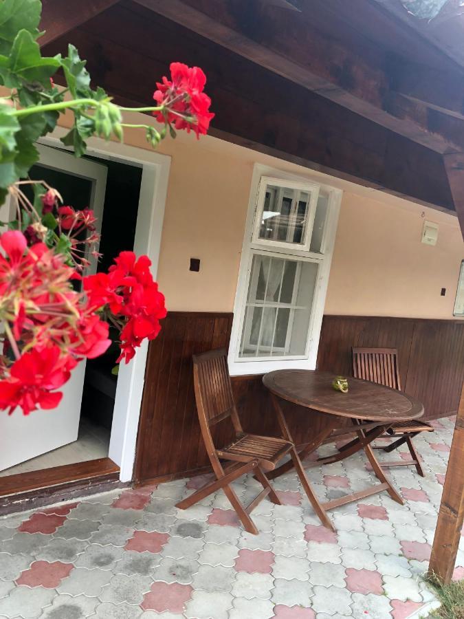 Apartman U Karla Veľký Meder المظهر الخارجي الصورة